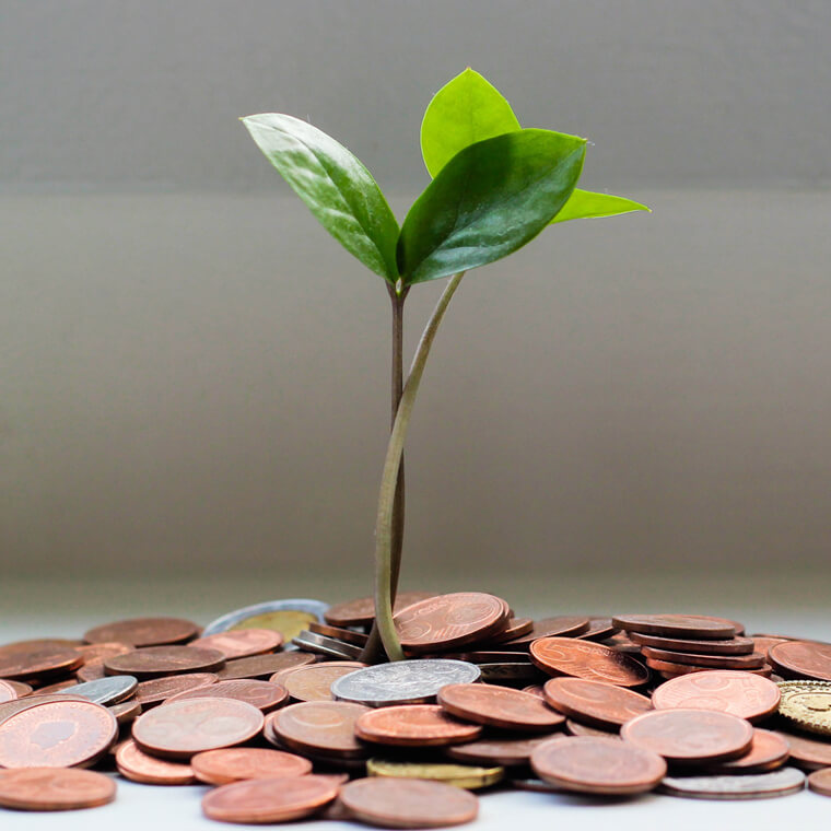 Plantita creciendo en una maceta de monedas